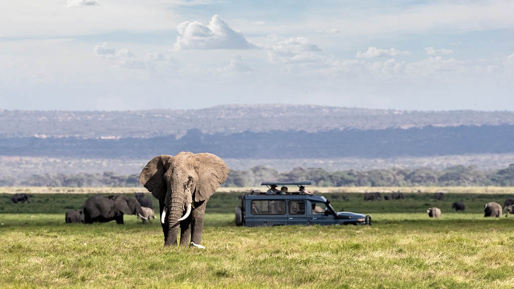 KENdPrivateGameDriveAmboseliNationalPark